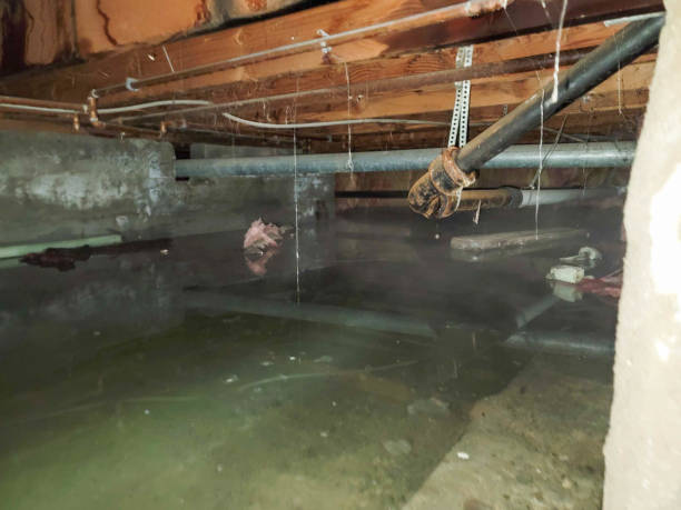 Water damage restoration experts in Chincoteague, VA