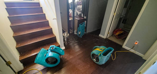 Best Fire Damage Restoration  in Chincoteague, VA