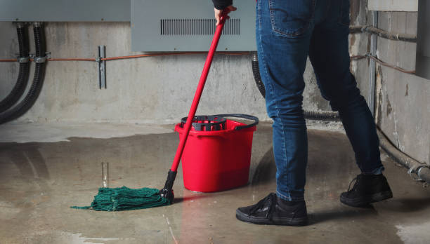 Best Water damage restoration specialists  in Chincoteague, VA