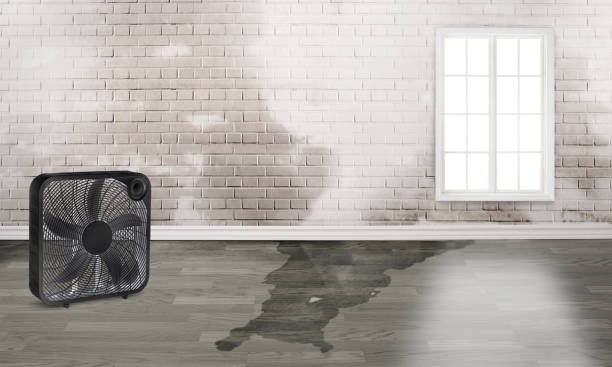 Professional Water damage restoration in Chincoteague, VA