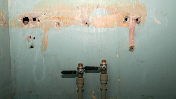 Best Professional water damage repair  in Chincoteague, VA