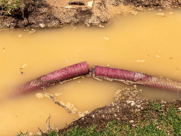 Best Water damage restoration near me  in Chincoteague, VA