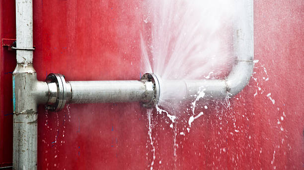 Best Flood damage cleanup  in Chincoteague, VA